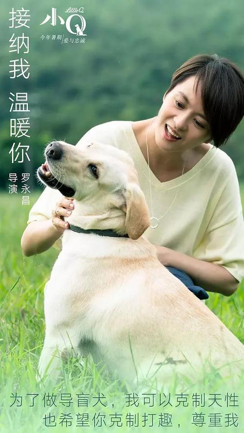 澳洲本科毕业证